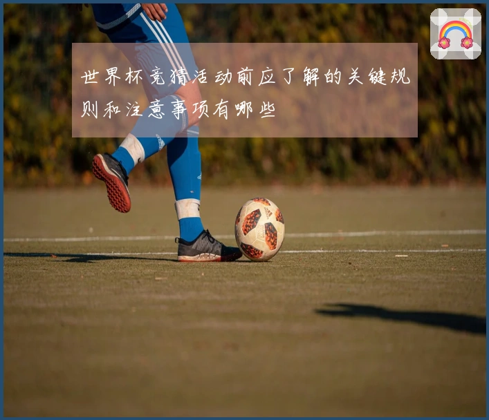 世界杯竞猜活动前应了解的关键规则和注意事项有哪些