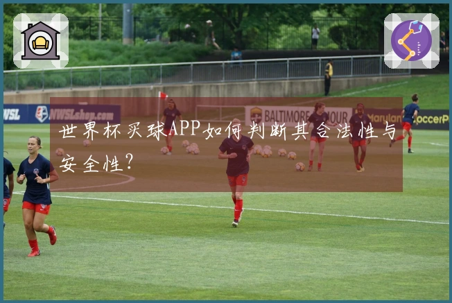 世界杯买球APP如何判断其合法性与安全性？
