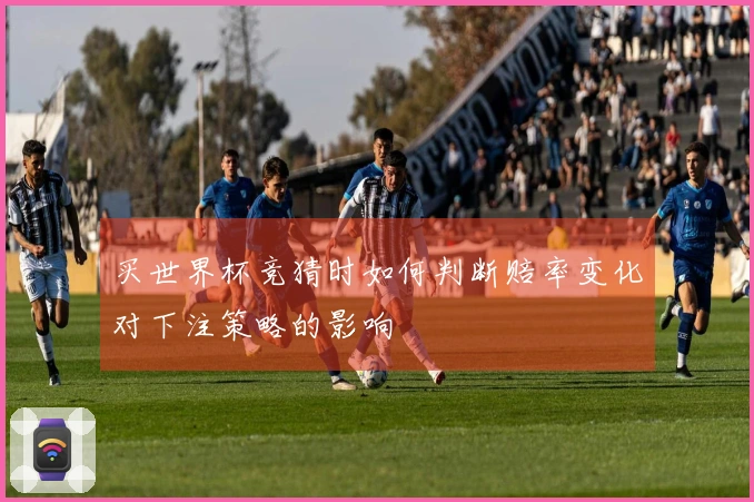 买世界杯竞猜时如何判断赔率变化对下注策略的影响