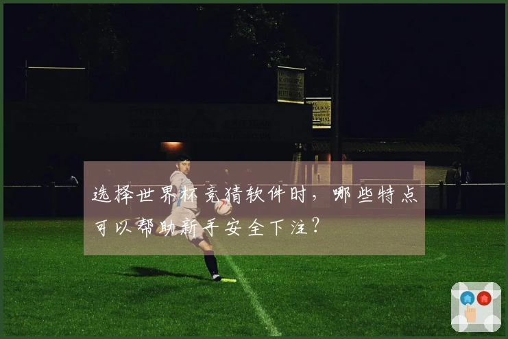 选择世界杯竞猜软件时，哪些特点可以帮助新手安全下注？