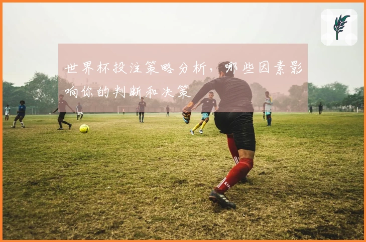 世界杯投注策略分析，哪些因素影响你的判断和决策