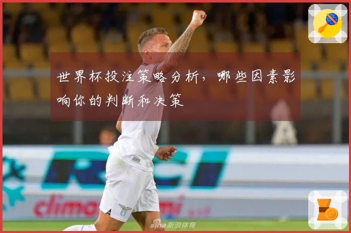 世界杯投注策略分析，哪些因素影响你的判断和决策